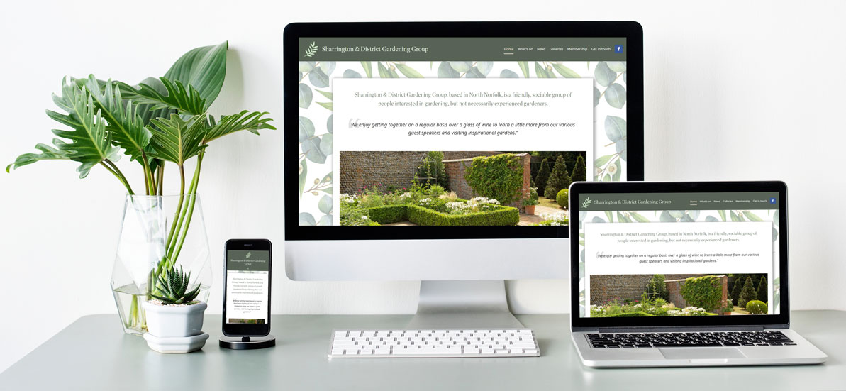 Web Design