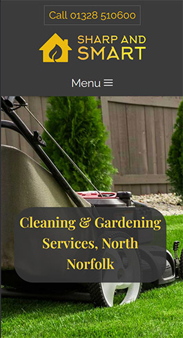 Website viewed on mobile device